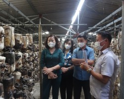 Đoàn công tác Trung ương Hội đến thăm Hợp tác xã nấm Quang Trung tại xã Bình An, huyện Lộc Hà