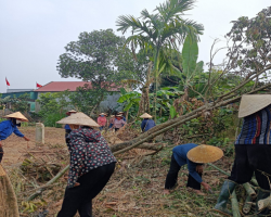 Hình ảnh lao động hỗ trợ phá bỏ vườn tạp tại thôn Ái Quốc