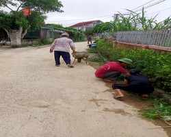 Chi hội Ngoại Xuân, xã An Dũng tổ chức lao động cắt tỉa, chỉnh trang tuyến đường tự quản