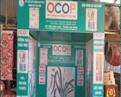 Sản phẩm Hương bài Giáp Thủy đã được công nhận sản phẩm đạt tiêu chuẩn OCOP 3 sao