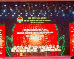 Trung ương Hội Nông dân Việt Nam tôn vinh và trao tặng Bằng khen cho những nông dân tiêu biểu, xuất sắc toàn quốc trong phong trào giai đoạn 2017 – 2022