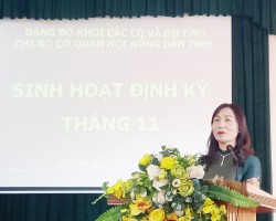 Đồng chí Nguyễn Thị Mai Thủy – Tỉnh ủy viên, Bí thư Chi bộ, Chủ tịch Hội Nông dân tỉnh phát biểu kết luận buổi sinh hoạt
