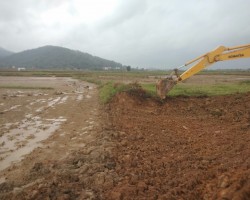 Hội Nông dân xã Xuân Lam, huyện Nghi Xuân tuyên truyền, vận động tích tụ ruộng đất xây dựng mô hình ruộng lúa hữu cơ kết hợp với khai thác rươi, cáy
