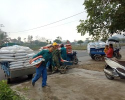 Trung tâm phối hợp cung ứng phân bón tại phường Đức Thuận, thị xã Hồng Lĩnh