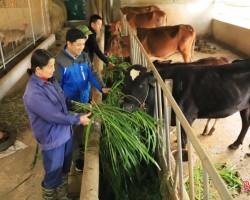 Cán bộ Trung tâm Ứng dụng KHKT & Bảo vệ cây trồng vật nuôi huyện Hương Sơn tham quan mô hình của anh Ngư