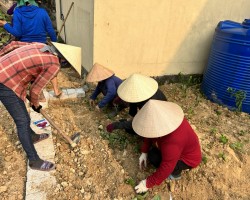 Hình ảnh lao động của hội viên Tổ hội nghề nghiệp Giúp nhau làm vườn