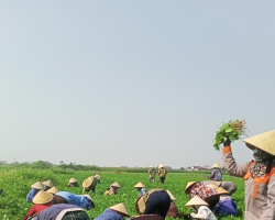 Hình ảnh lao động của cán bộ, hội viên nông dân