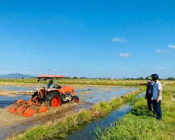 Hội Nông dân huyện Cẩm Xuyên tập trung làm đất, xuống giống, đẩy nhanh sản xuất vụ hè thu năm 2023