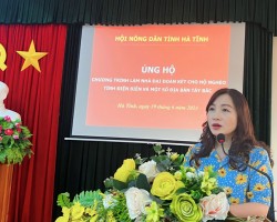 Đồng chí Nguyễn Thị Mai Thủy - Tỉnh ủy viên, Chủ tịch Hội Nông dân tỉnh phát biểu tại buổi phát động ủng hộ