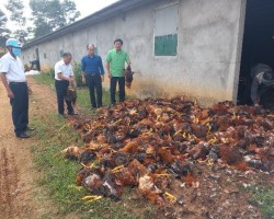 hủ tịch Hội Nông dân huyện Hương Khê và Chủ tịch Hội Nông dân xã Phúc Đồng (2 người cầm gà) kịp thời đến động viên, chia sẻ với gia đình