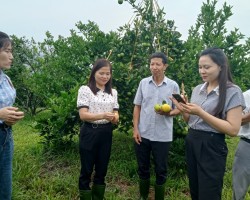 Hội Nông dân huyện Vũ Quang triển khai giám sát chuyên đề năm 2023