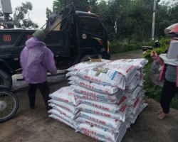 Hội Nông dân xã Hoà Lạc cung ứng phân bón sản xuất vụ đông xuân 2023-2024