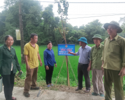 Hội Nông dân xã Tùng Châu tham gia xây dựng nông thôn mới