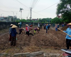 BCH Hội Nông dân xã Yên Hòa huyện Cẩm Xuyên cùng hội viên chi hội Nông dân thôn Đông Hòa giúp các hộ cải tạo vườn