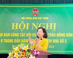 Đồng chí Bùi Thị Thơm, Phó Chủ tịch Ban Chấp hành Trung ương Hội Nông dân Việt Nam phát biểu tại hội nghị