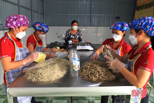 Công nhân Tổ hợp tác kinh doanh và chế biến hải sản Vân Huy đóng gói 2 sản phẩm cá trỏng (phải) và cá ngần (trái) chuẩn bị xuất xưởng.