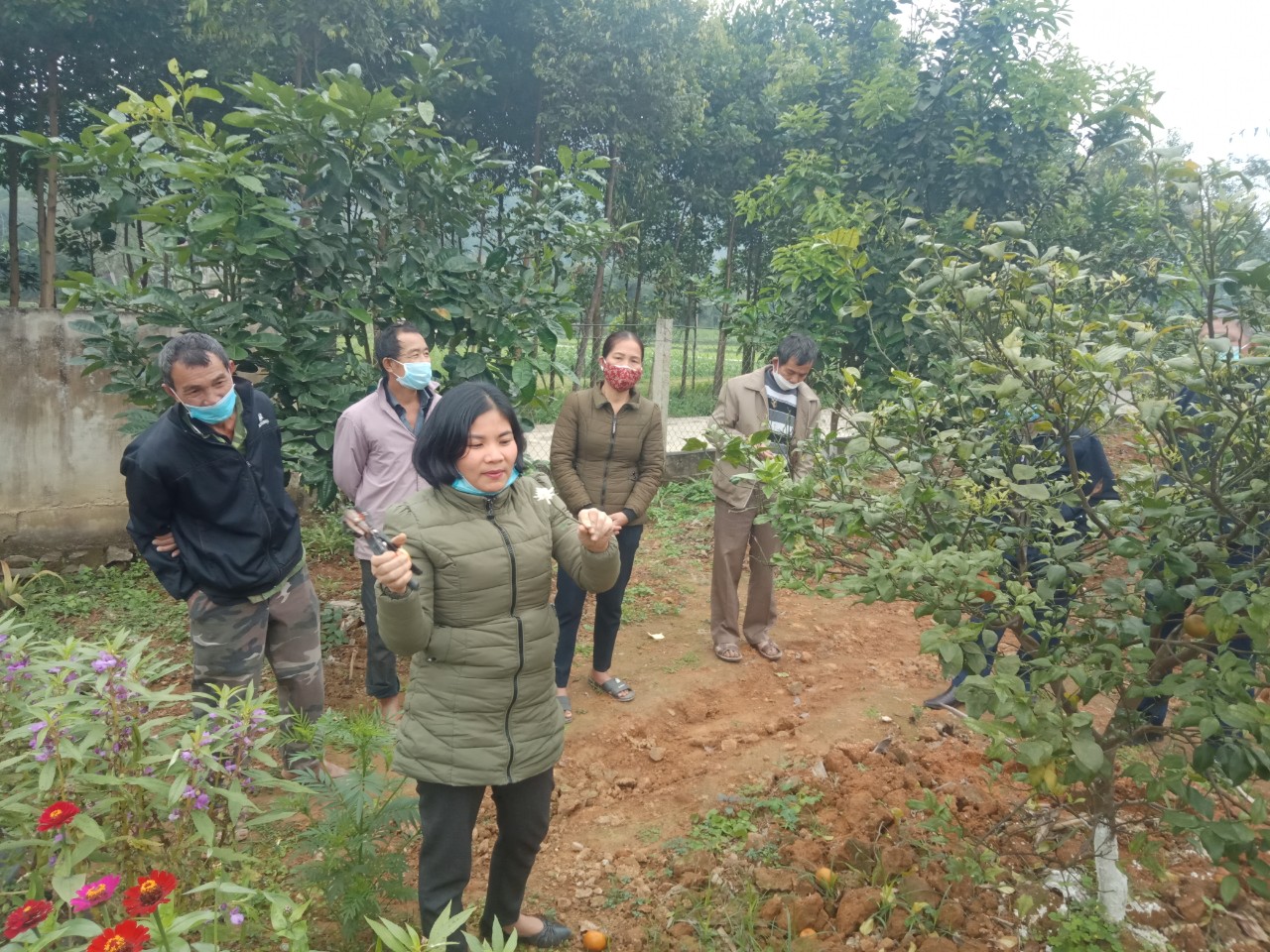 Hội Nông dân xã Sơn Tây tổ chức tập huấn chăm sóc cây ăn quả