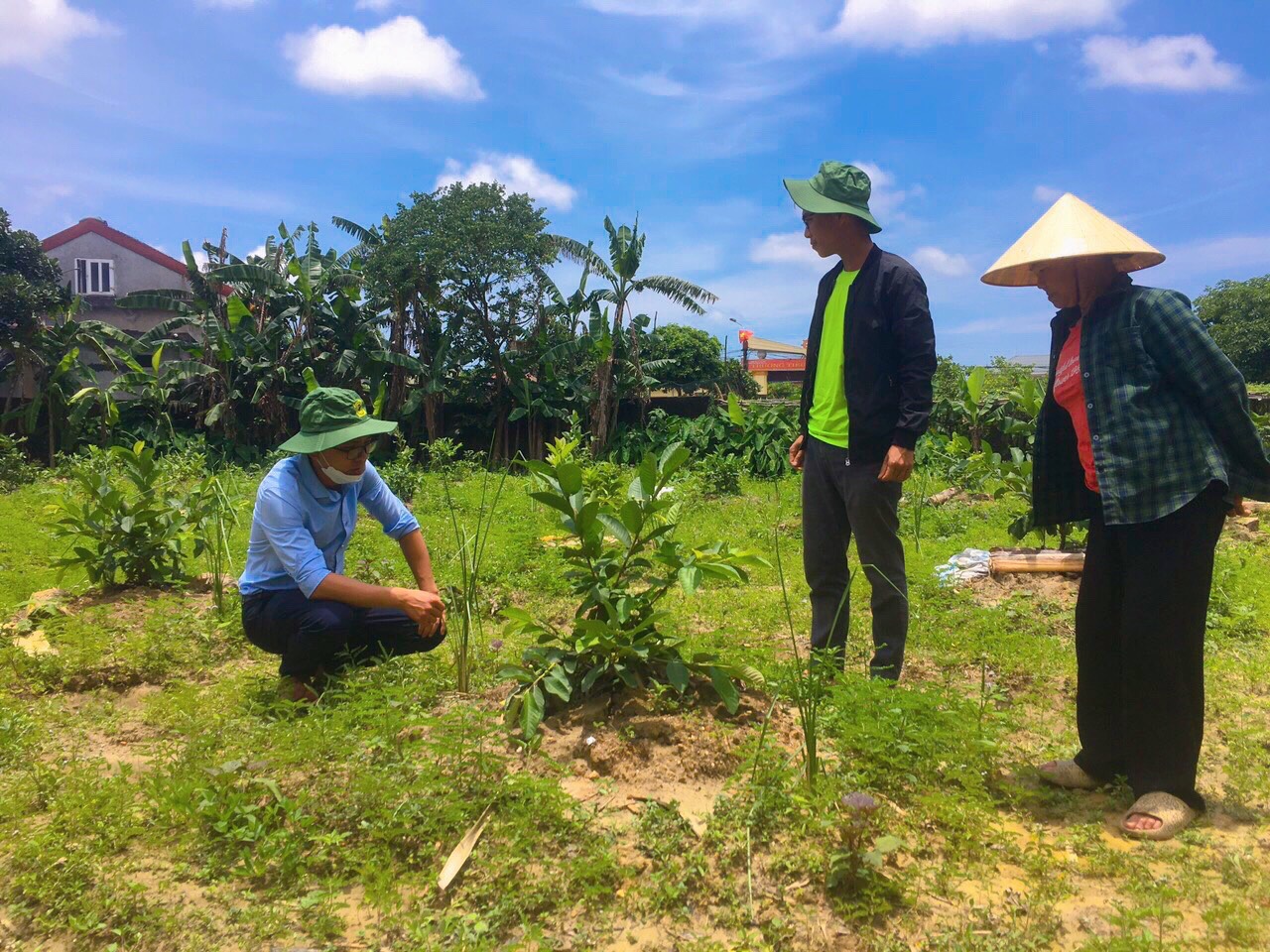 Mô hình trồng 100 gốc ổi lê Đài Loan sử dụng chế phẩm sinh học của bà Đặng Thị Tuyết – xã Điền Mỹ – huyện Hương Khê)