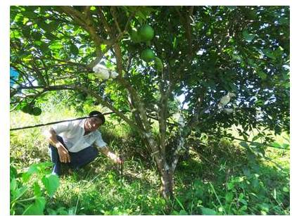 Anh Thái Vinh Quang thôn Kim Tân xã Kim Hoa kiểm tra béc phun nước, cảm biến báo chỉ số dinh dưỡng và PH trong đất
