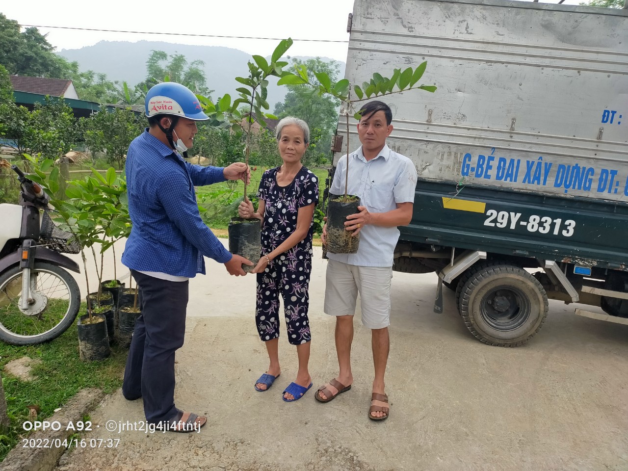 Hình ảnh Hội Nông dân xã Đức Hương cung ứng cây giống hỗ trợ cải tạo vườn