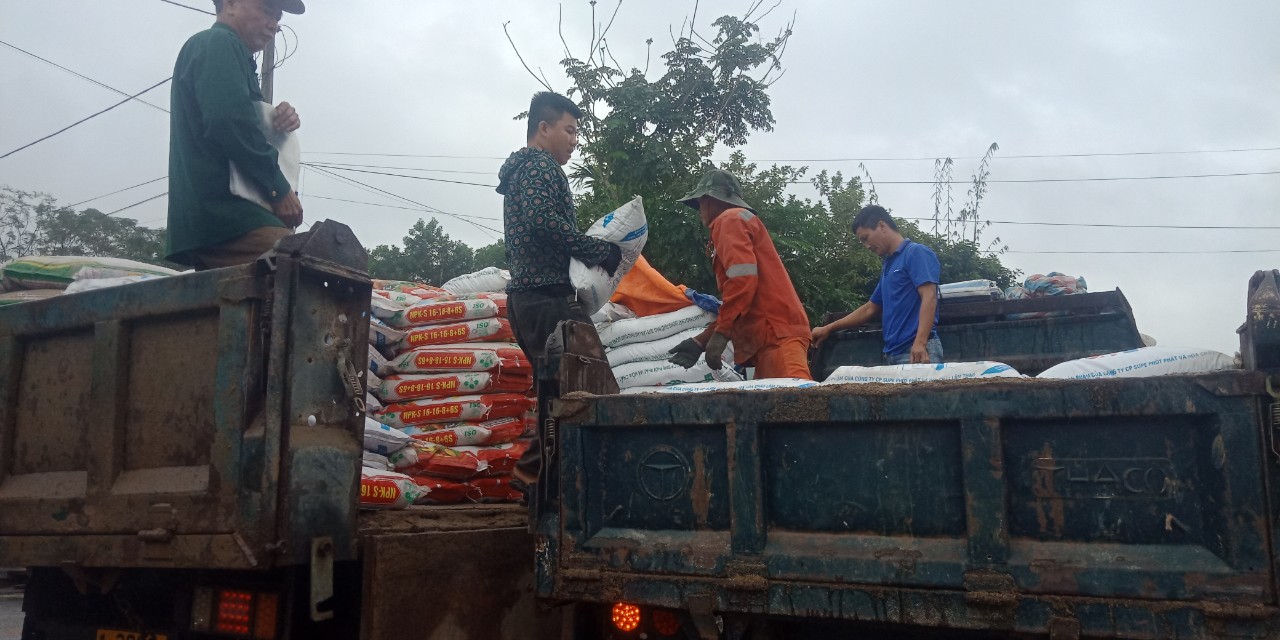 Hội Nông dân xã Sơn Tây cung ứng dịch vụ phân bón cho hội viên, nông dân
