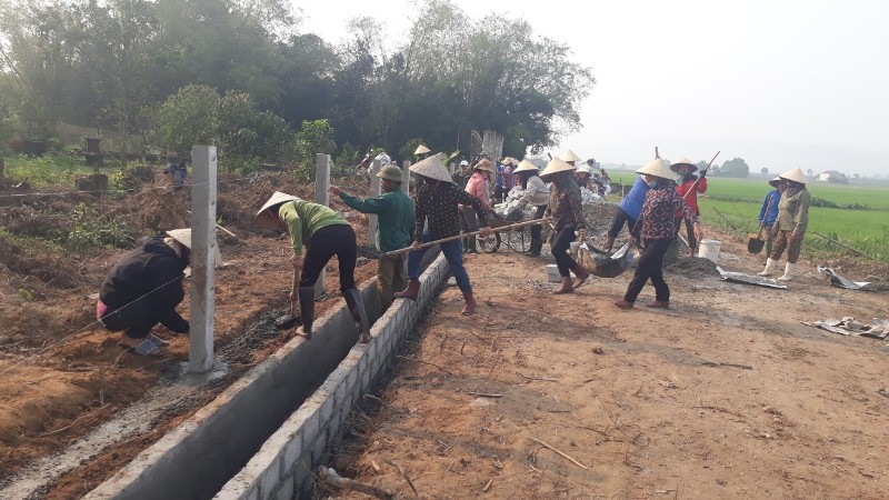 Hội viên nông dân xã Thạch Ngọc hỗ trợ xây dựng hàng rào thoáng