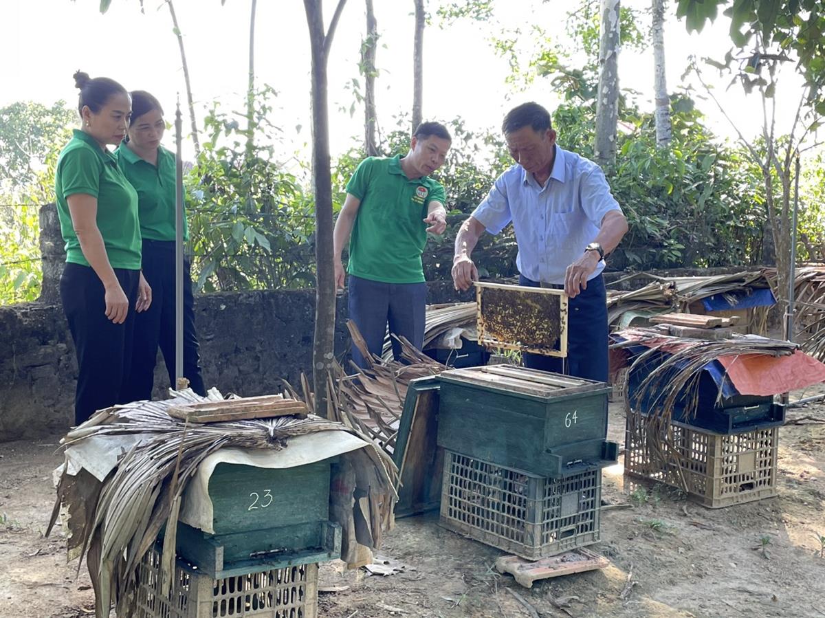 2 Mô hình nuôi ong lấy mật của ông Thái Xuân Hạnh, phường Đậu Liêu Mô hình được nhân rộng, cung cấp con giống, kỹ thuật cho 20 hộ nông dân khác, đồng thời thành lập chi tổ hội nghề nghiệp
