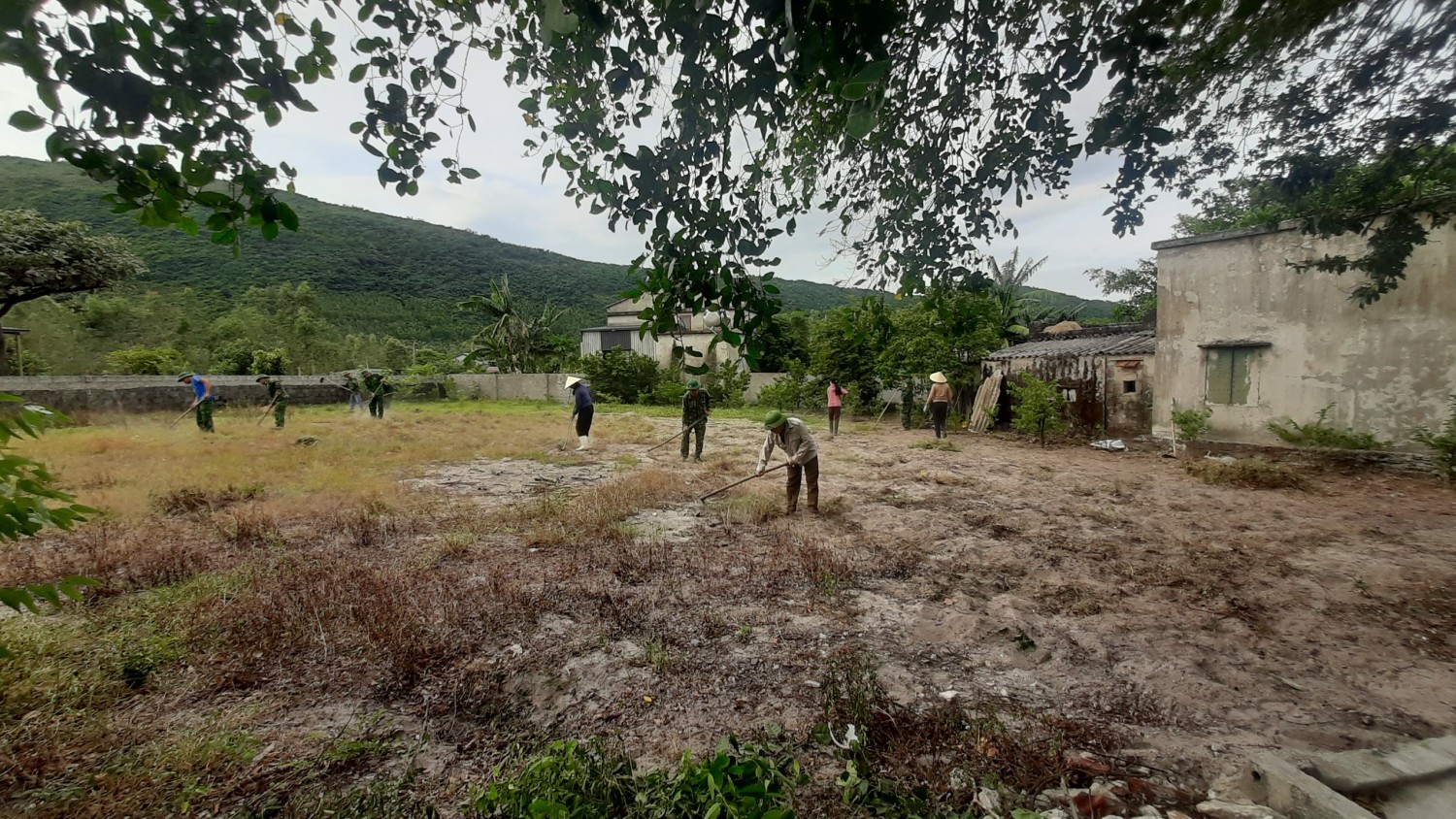 Hội Nông dân xã Kỳ Nam tổ chức ra quân 30 ngày cao điểm xóa bỏ vườn hoang, vườn tạp