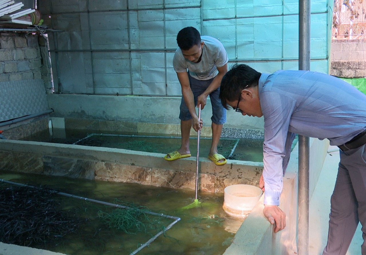 Triển vọng từ mô hình nuôi lươn không bùn ở xã Yên Hồ