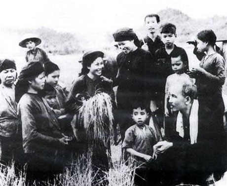 Bác Hồ thăm nông dân đang gặt lúa trên cánh đồng xã Hùng Sơn, huyện Đại Từ, Thái Nguyên, năm 1954. Ảnh: Tư liệu