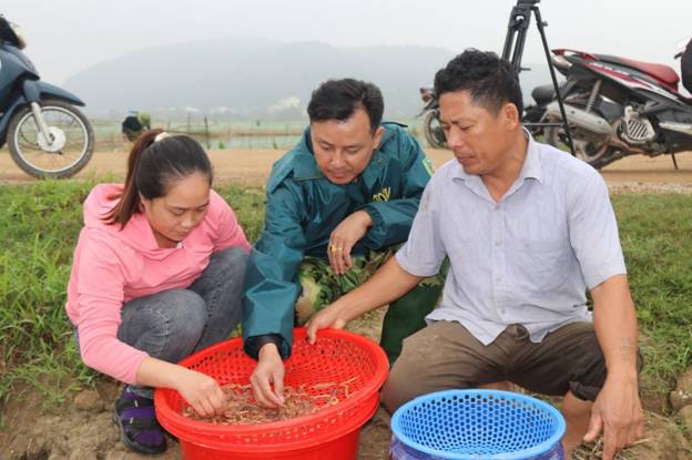 Nâng cao thu nhập từ nguồn rươi của hội viên nông dân xã Xuân Hồng