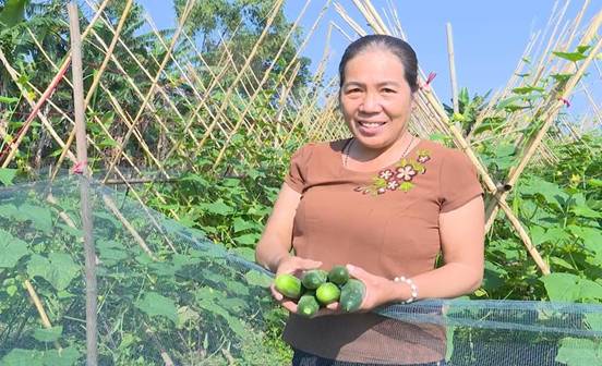 Hội Nông dân xã Liên Minh phát huy vai trò trong kết nối, tiêu thụ nông sản cho bà con nông dân