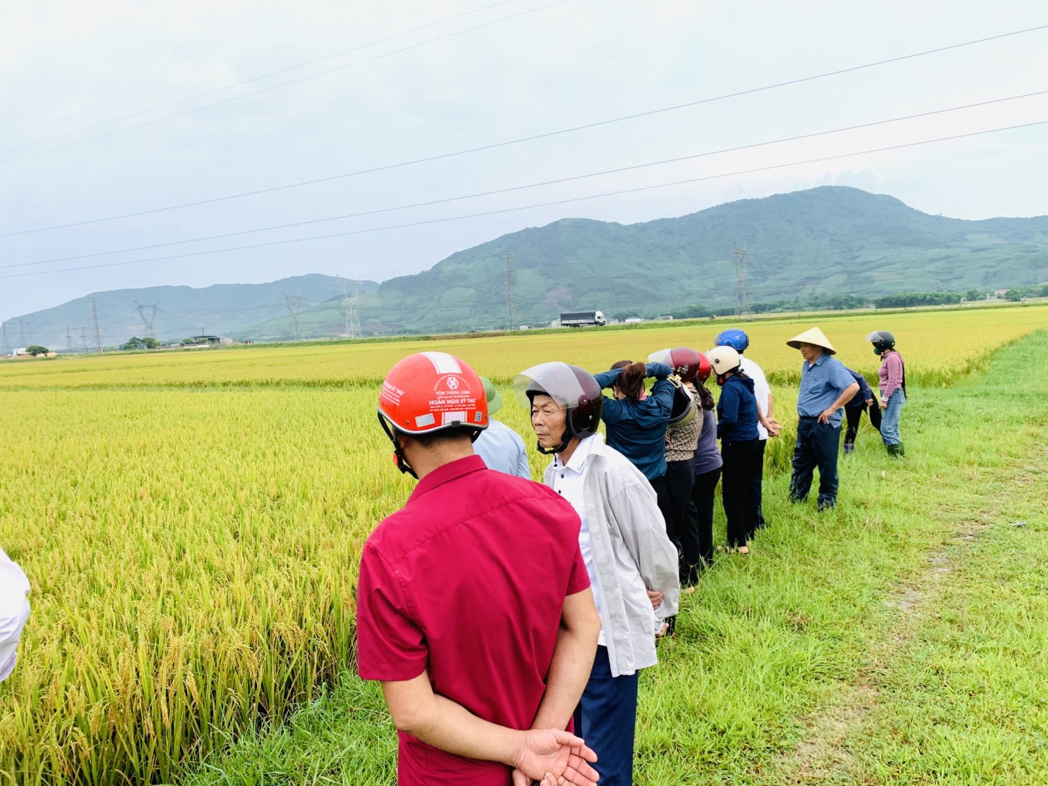 Xã Kỳ Văn tổ chức thăm đồng đánh giá năng suất lúa vụ xuân và triển khai kế hoạch sản xuất vụ hè thu năm 2024