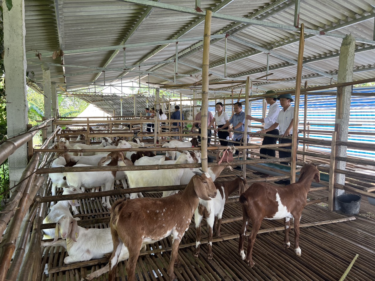 Nông dân Hương Sơn với phong trào “Nông dân thi đua sản xuất kinh doanh giỏi, đoàn kết giúp nhau làm giàu và giảm nghèo bền vững”