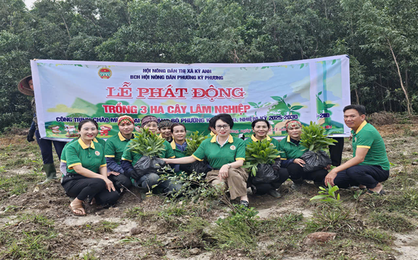 Hội nông dân phường Kỳ Phương tổ chức phát động phong trào trồng cây phân tán năm 2024