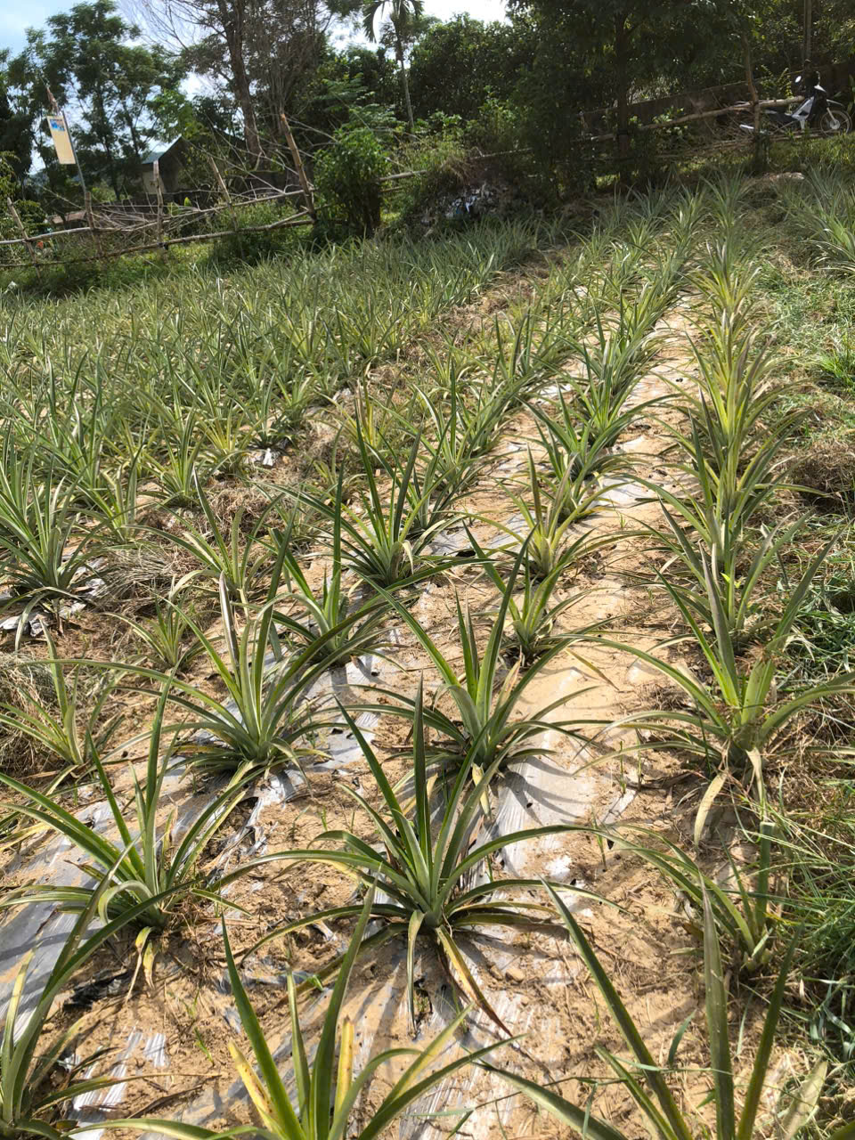 gen h z6879546305742 61c646c9da4679698f68ab927ddb163c