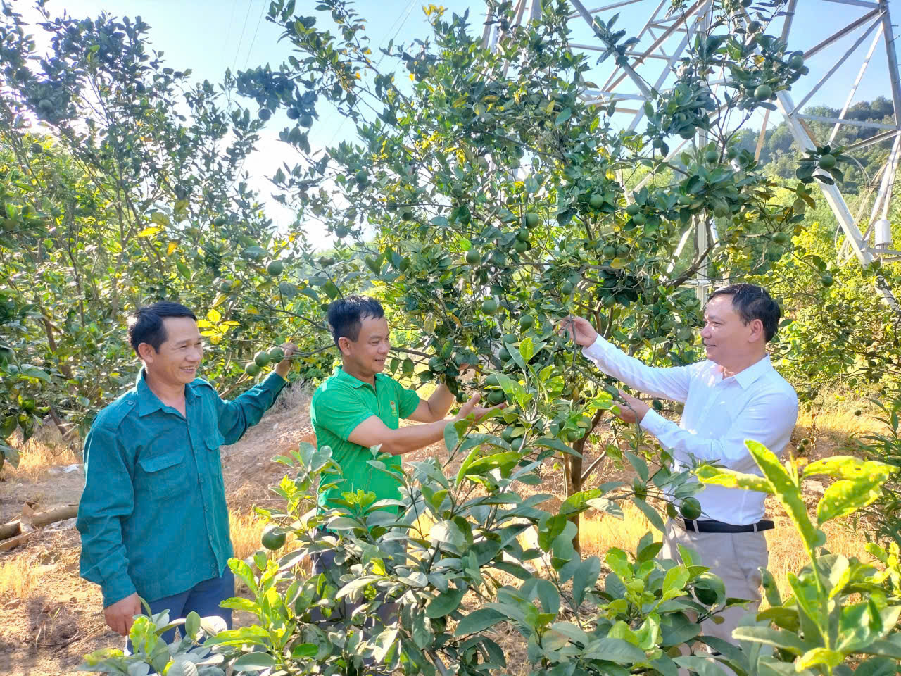 Hội Nông dân phường Bắc Hồng Lĩnh ra mắt hai mô hình kinh tế vườn hộ chào mừng Đại hội Đảng bộ phường lần thứ nhất