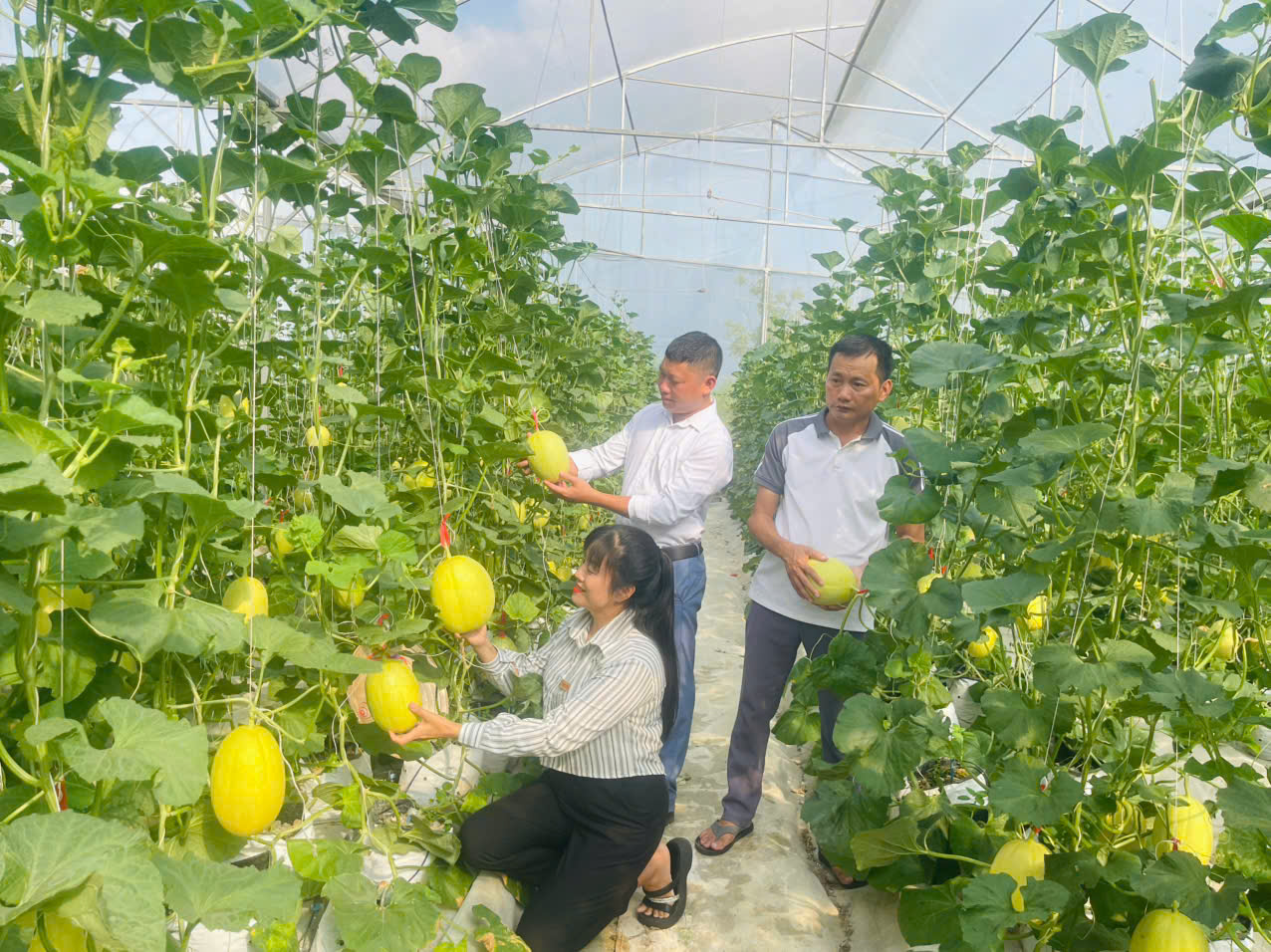 gen h z6923416713011 0394d1d632fd4f3d8851b7f76b4cdf79