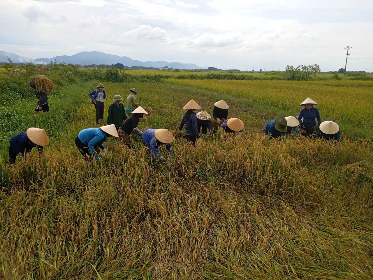 Hội Nông dân Hà Tĩnh đồng hành cùng hội viên khắc phục hậu quả bão số 5 (Kajiki)