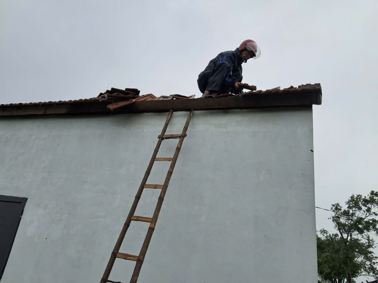 gen h z6950222771705 bc57a04c15b8cf29a5d293116bd1db48