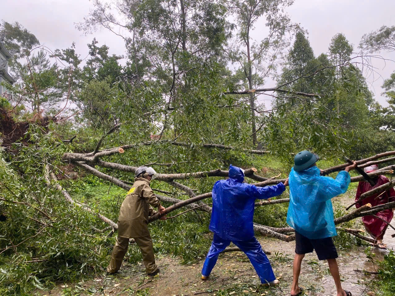 gen h z6950222792707 07a43a574dea31107728680c41c2634e