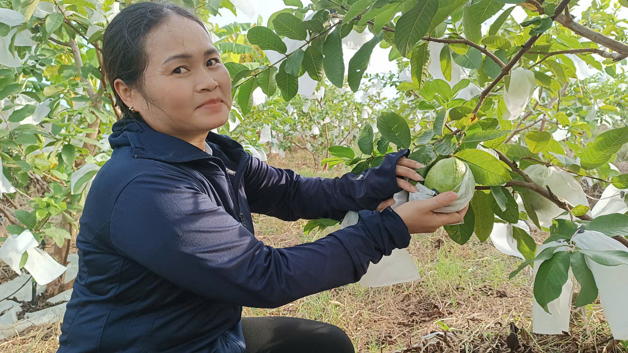 gen n z6884705628973 663cd21c1658e15feb72ce7a64a07114