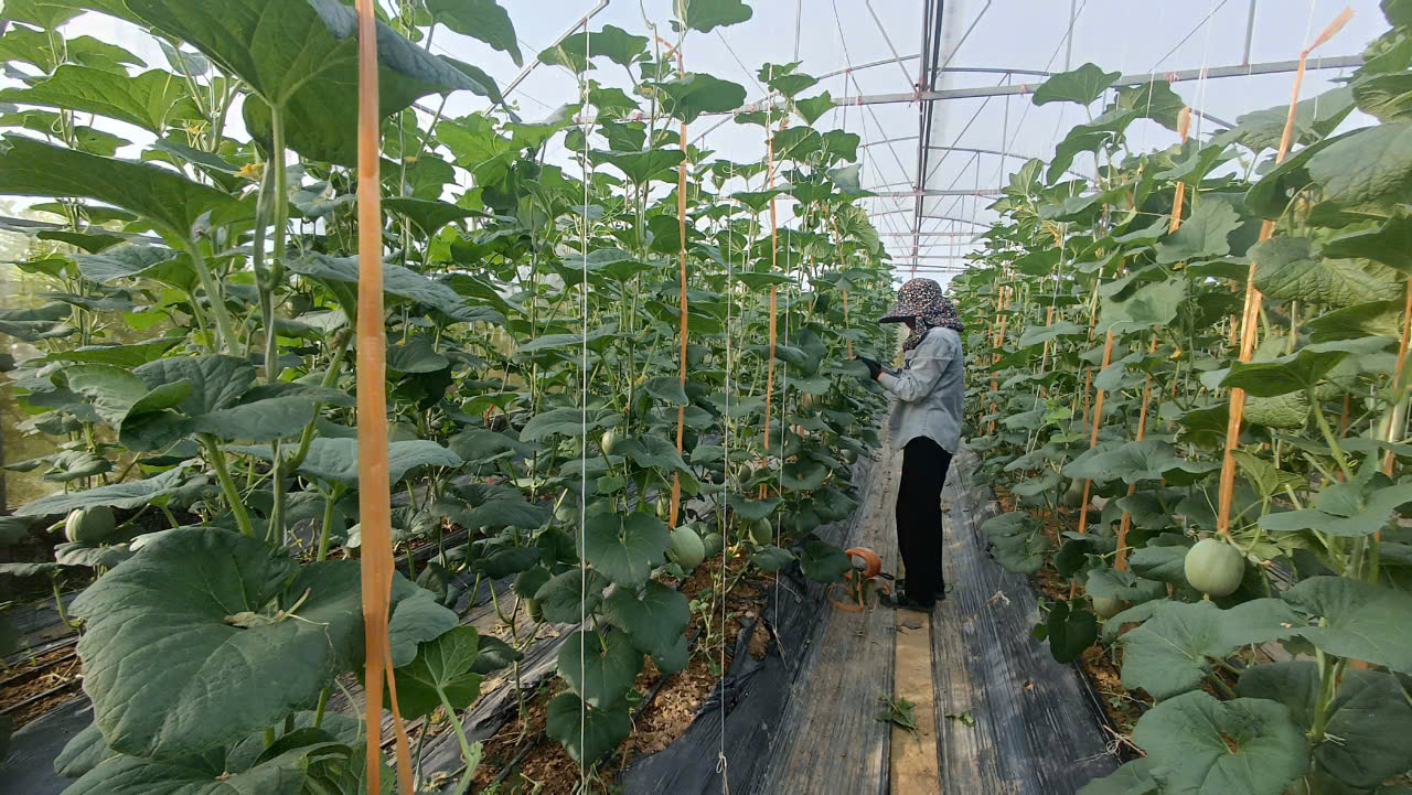 gen n z6884705630294 804bbfda6d9fc06935b09bddf130d888