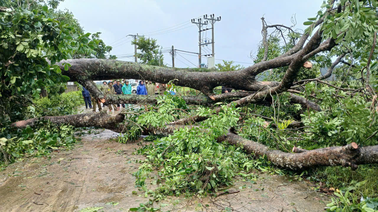 gen n z6950222596520 67b4804b88ffac513c0e361ae5d31bf4