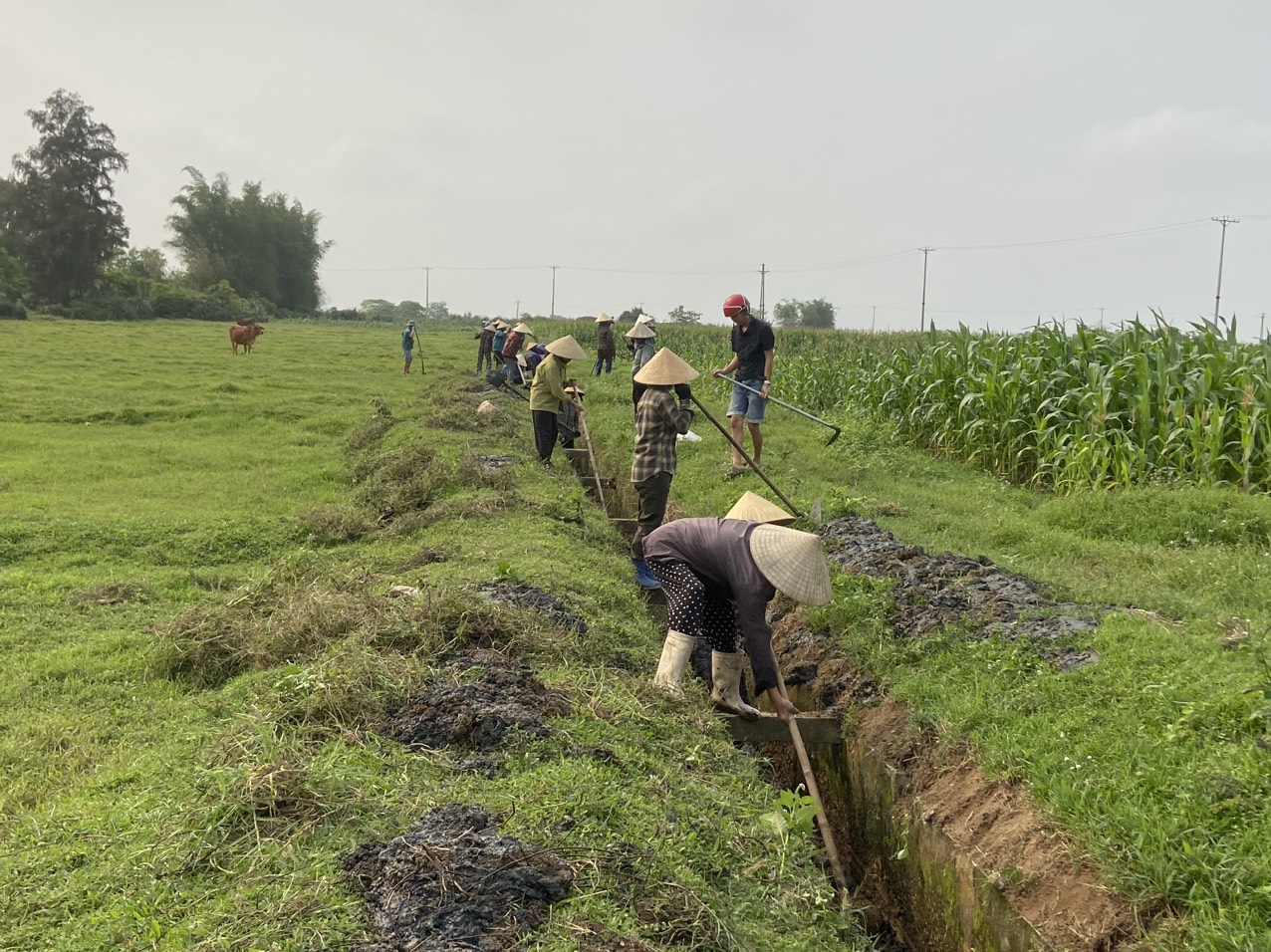 z5325690832351 f942abbccee4fc7b35ad690401cdf459